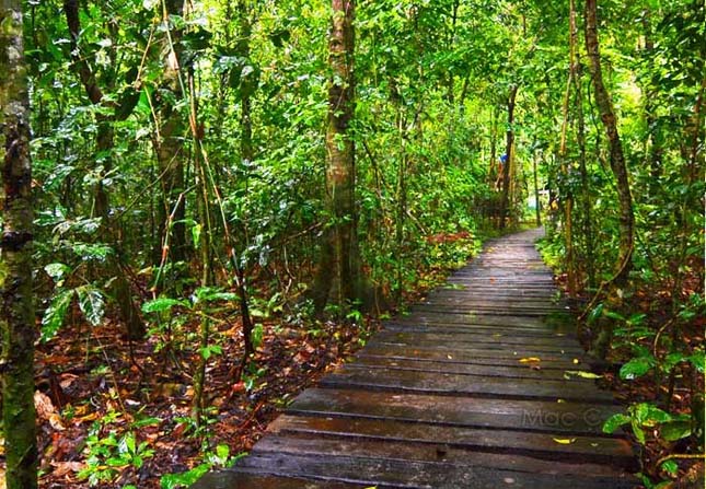 Puerto Princesa, Fülöp-szigetek