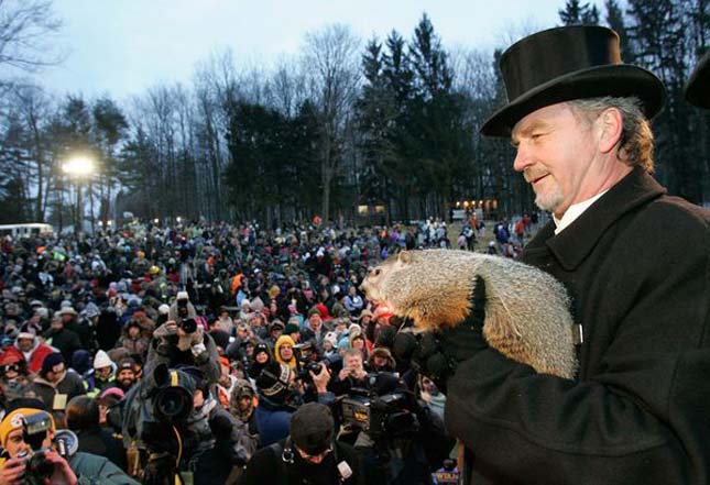 Punxsutawney Phil