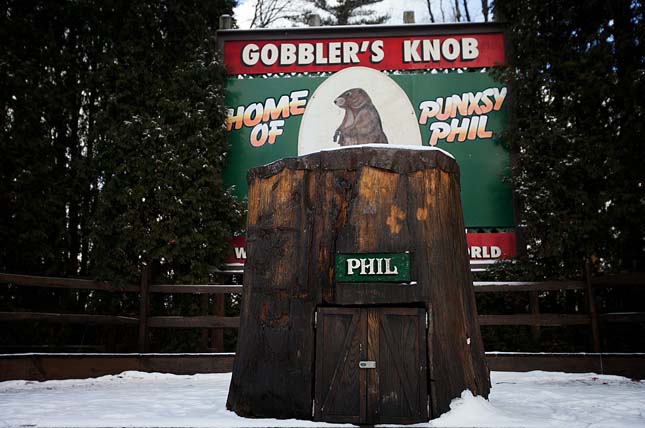 Punxsutawney Phil