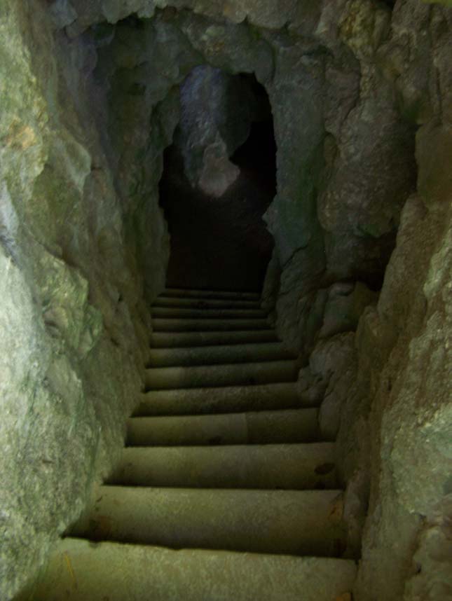 Quinta da Regalieira, Portugália