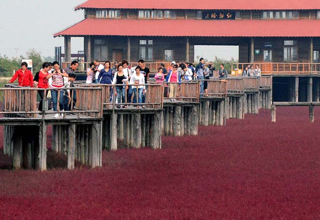 Red Beach