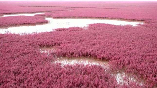 Red Beach