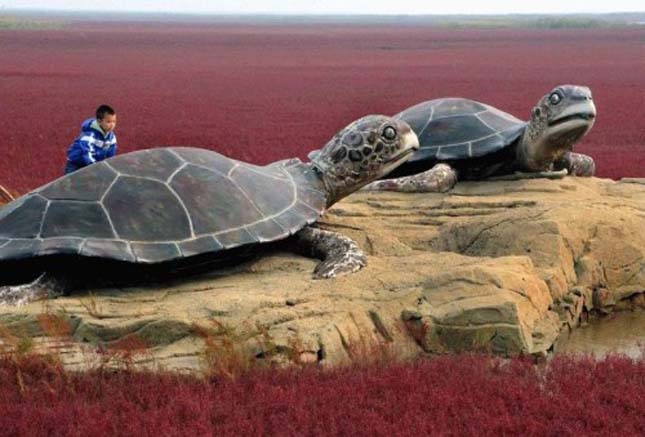 Red Beach