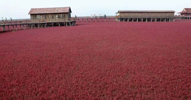 Red Beach