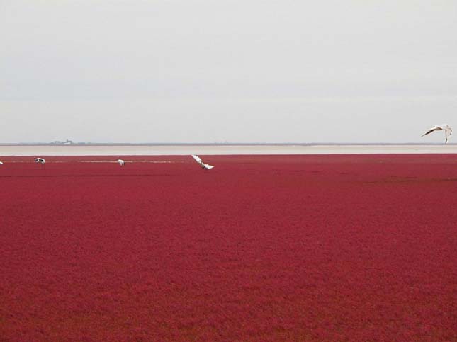 Red Beach