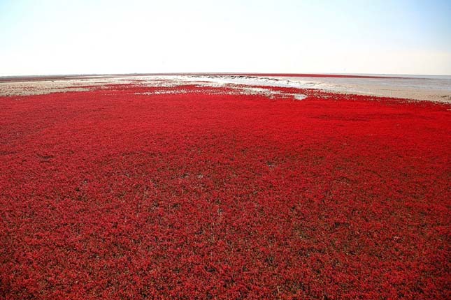 Red Beach