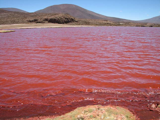 Vörös lagúna, Chile