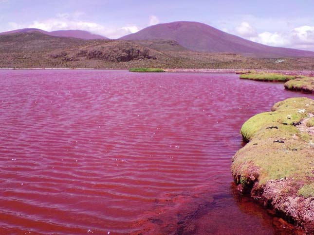 Vörös lagúna, Chile