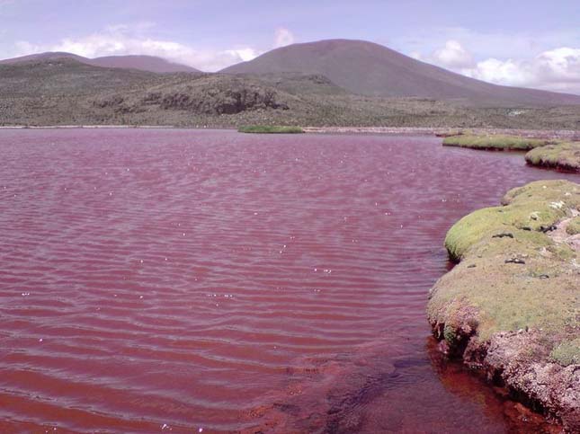 Vörös lagúna, Chile