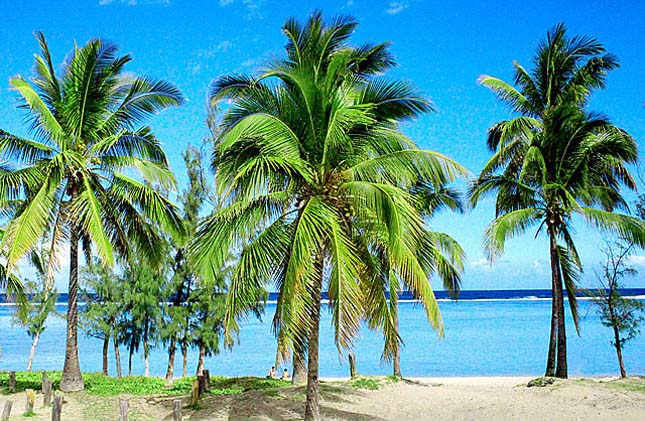 Réunion