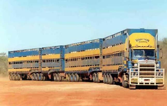 Road Train