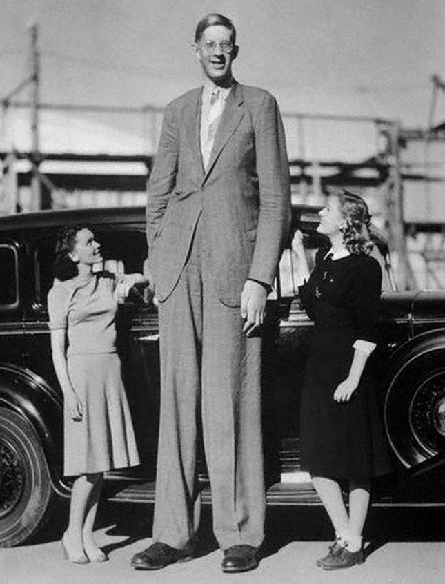 Robert Pershing Wadlow a valaha élt legmagasabb férfi