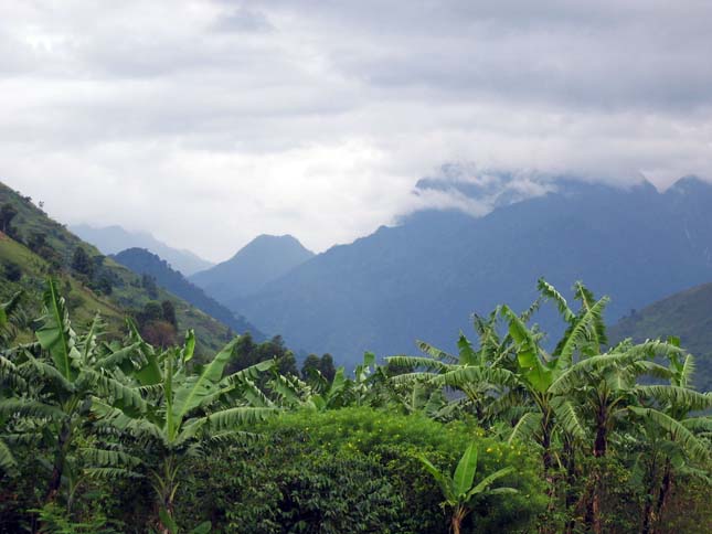 Rwenzori-hegység