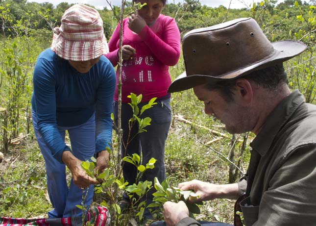 Az Amazonas megmentése