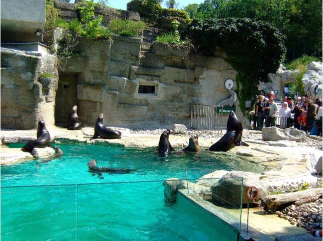 Schönbrunni Állatkert, Európa legjobb állatkertje
