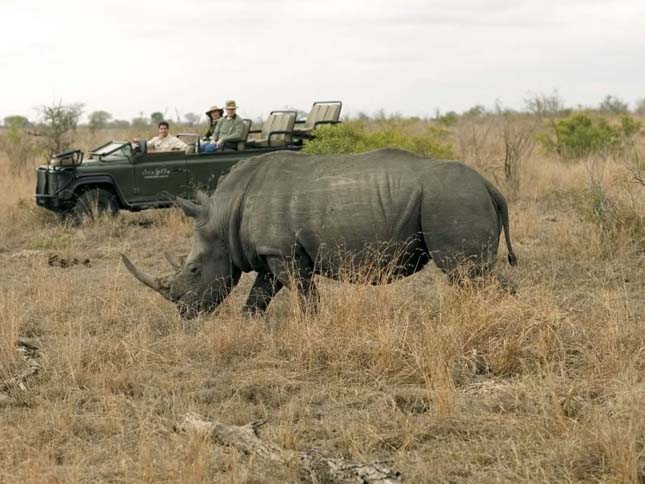 Singita Sabi Sand, Dél-Afrika