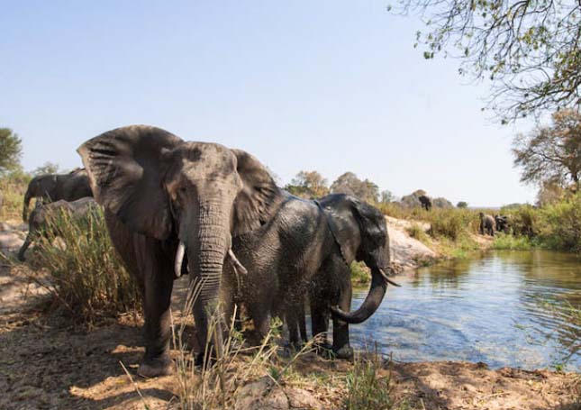 Singita Sabi Sand, Dél-Afrika