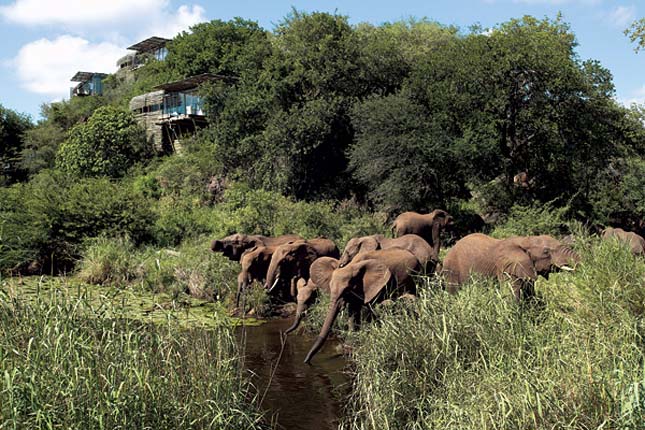 Singita Sabi Sand, Dél-Afrika