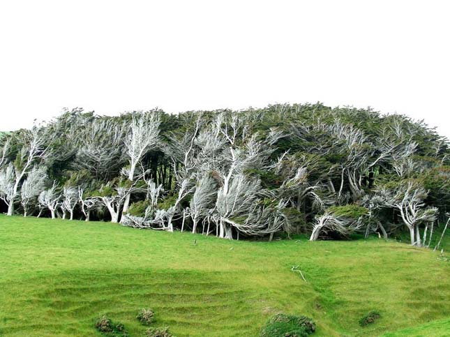 Slope Point