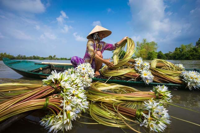 12. Smithsonian Magazine Photo Contest - 2015