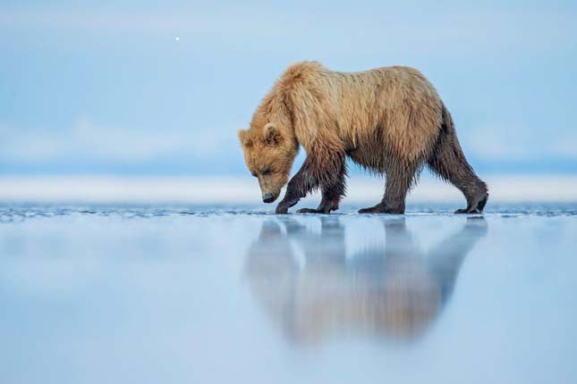 12. Smithsonian Magazine Photo Contest - 2015