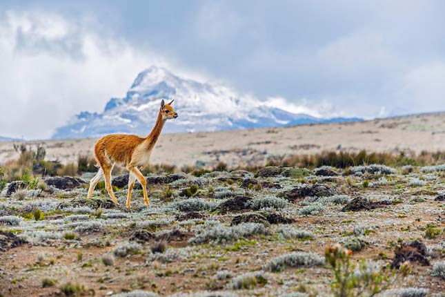 12. Smithsonian Magazine Photo Contest - 2015