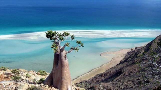 Socotra