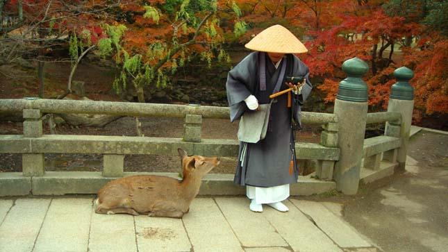 Nara, a szarvasok városa