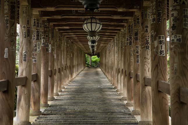 Nara, a szarvasok városa