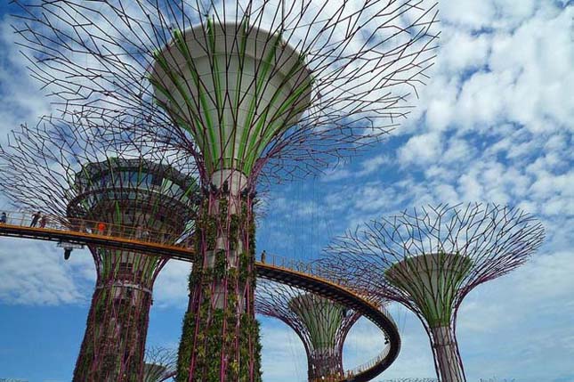 Szuperfák nőttek Szingapúrban