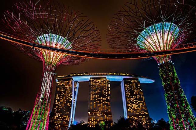 Szuperfák nőttek Szingapúrban