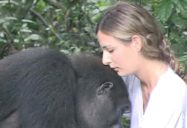 Tansy Aspinall és a gorillák