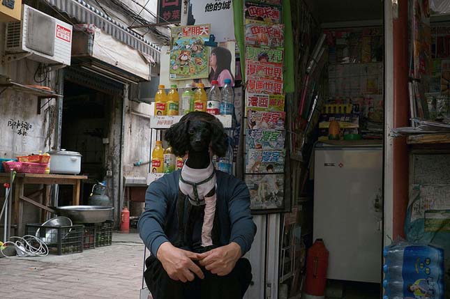 Tao Liu utcai fotói