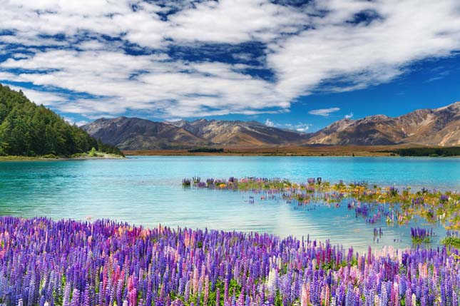 Tekapo-tó, Új-Zéland