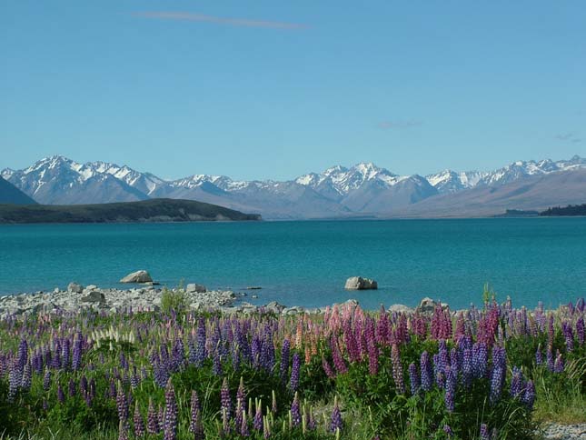 Tekapo-tó, Új-Zéland