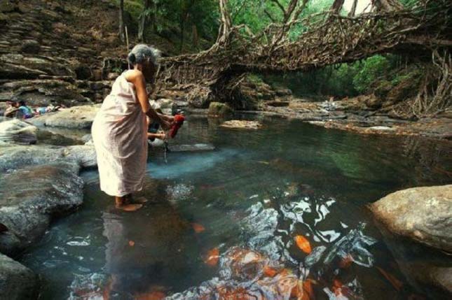 Természtes hidak, India