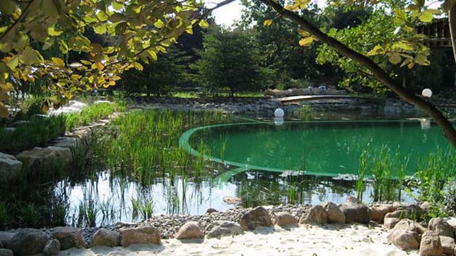 Természetes kerti medencék