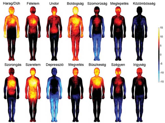 Érzelmi testtérkép