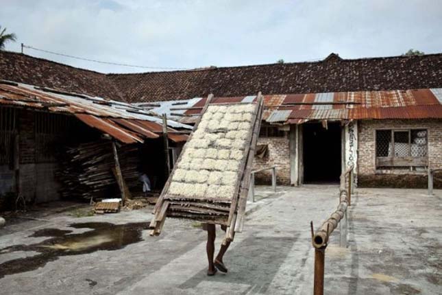 Tésztagyár Indonéziában
