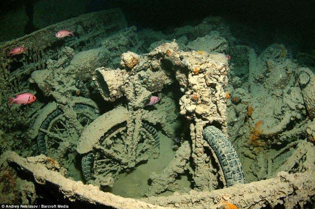 Thistlegorm