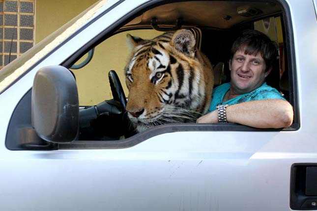 Tigrisekkel él együtt egy brazil család