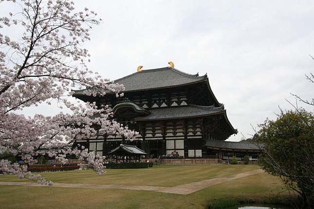 TodaiJi templom, Japán