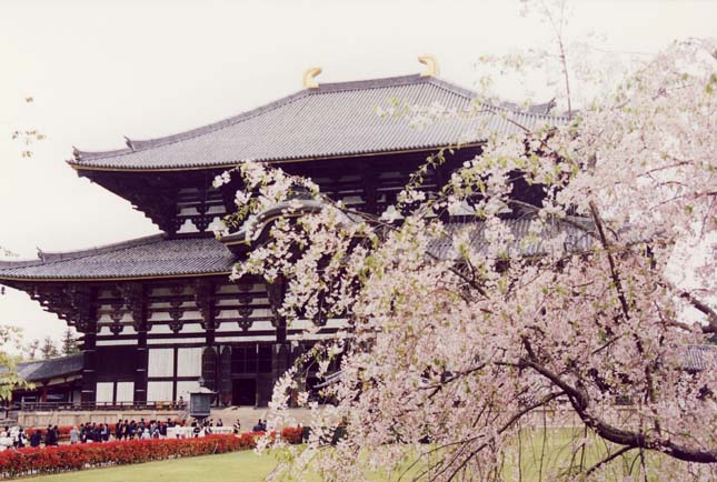 TodaiJi templom, Japán