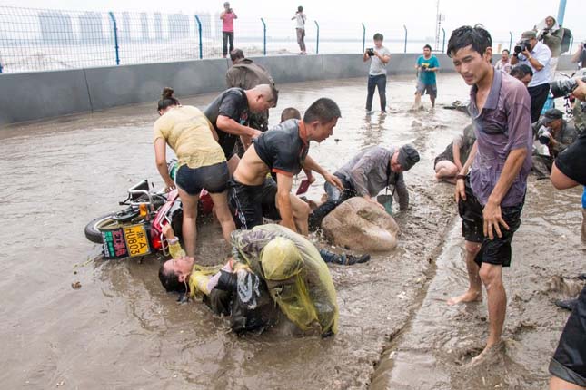 Toló árhullám a Qiantang folyón