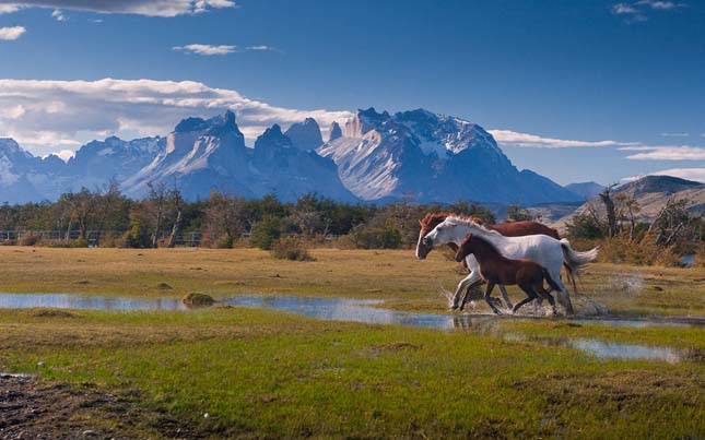 Torres del Paine