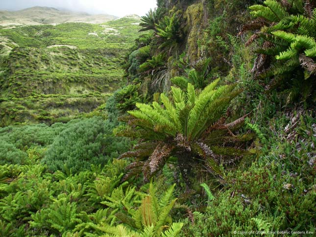 Tristan da Cunha