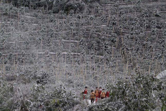 Sinabung vulkán