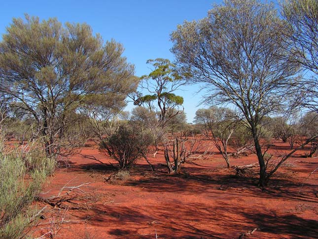 Uluru-Kata Tjuta Nemzeti Park