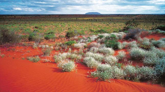 Uluru-Kata Tjuta Nemzeti Park