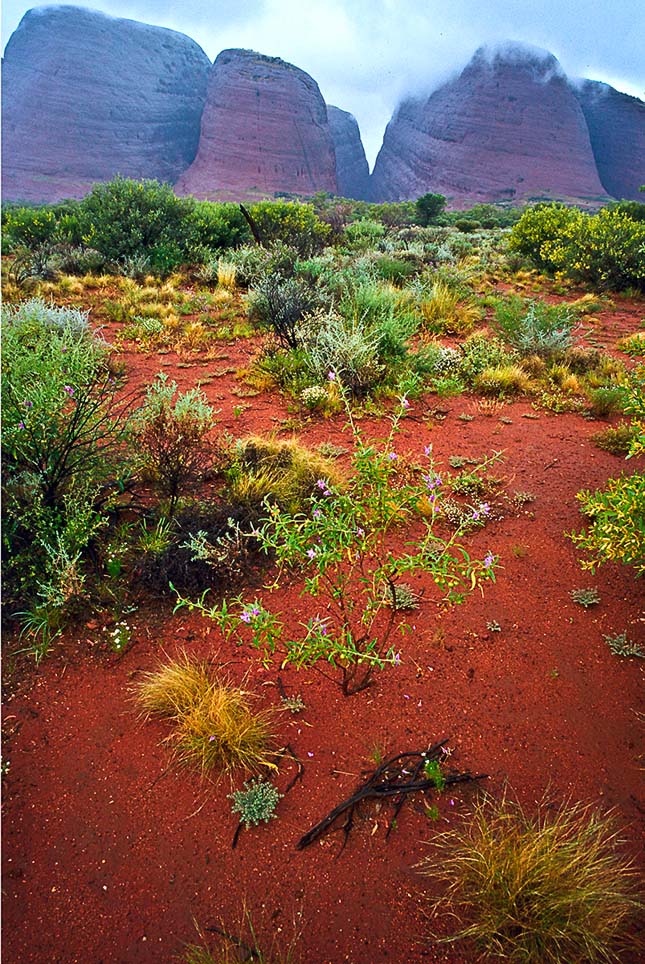 Uluru-Kata Tjuta Nemzeti Park